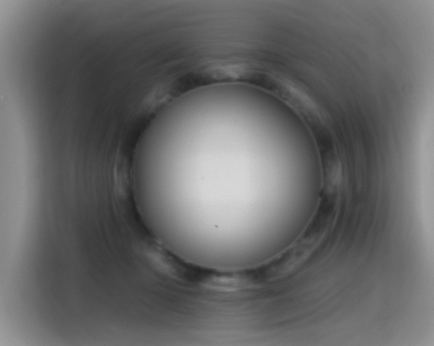 X0000115380414200911101310