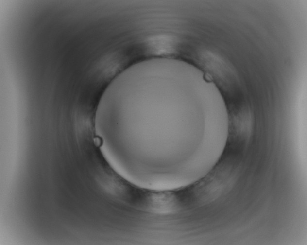 X0000115380415200911101310