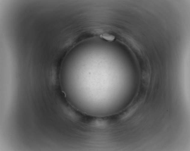 X0000115380416200911101310