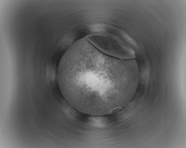 X0000115380417200911101310