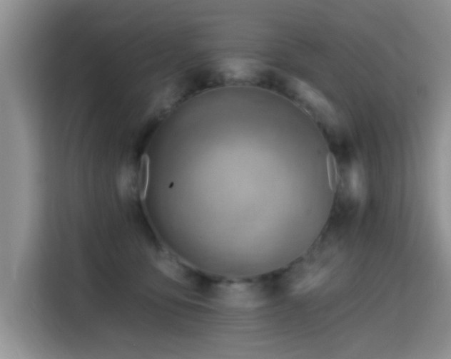 X0000115380419200911101310