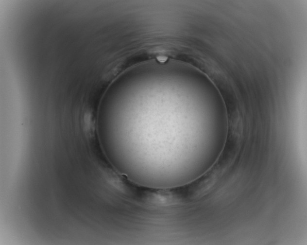 X0000115380420200911101310