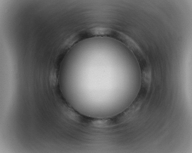 X0000115380422200911101310