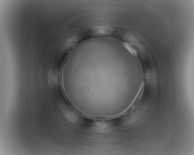 X0000115380423200911101310