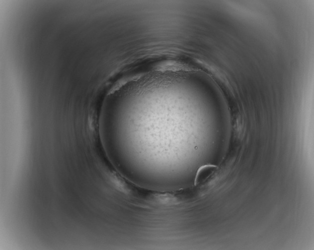X0000115380424200911101310