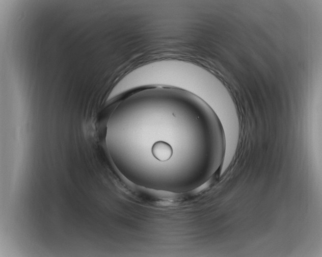 X0000115380425200911101310