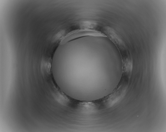 X0000115380427200911101310