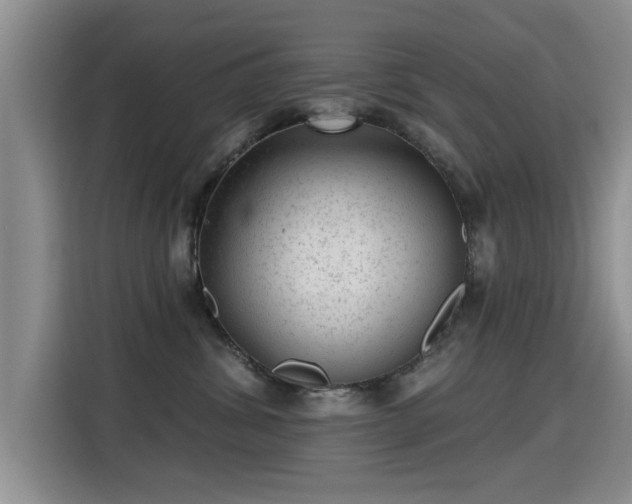 X0000115380428200911101310