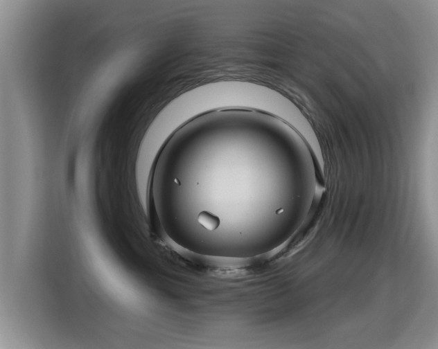 X0000115380429200911101310