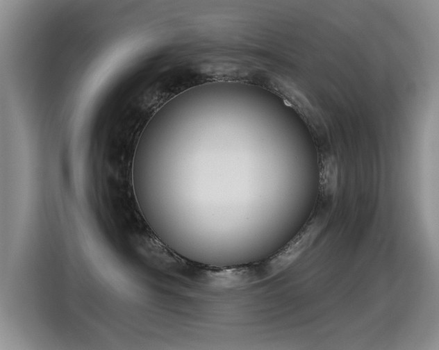 X0000115380430200911101310