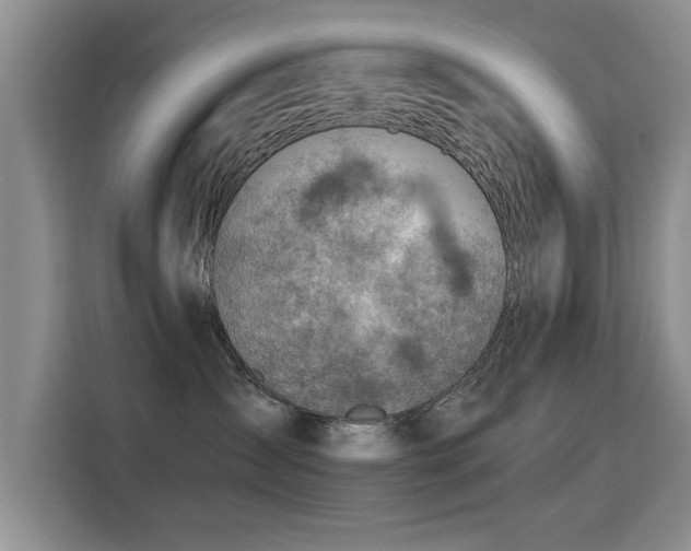 X0000115380431200911101310