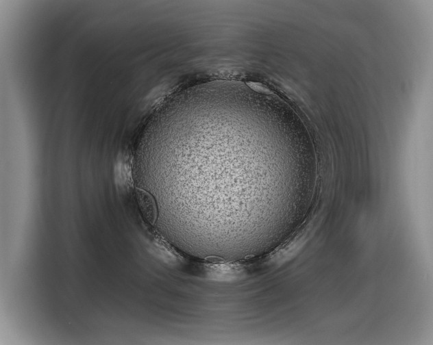 X0000115380432200911101310
