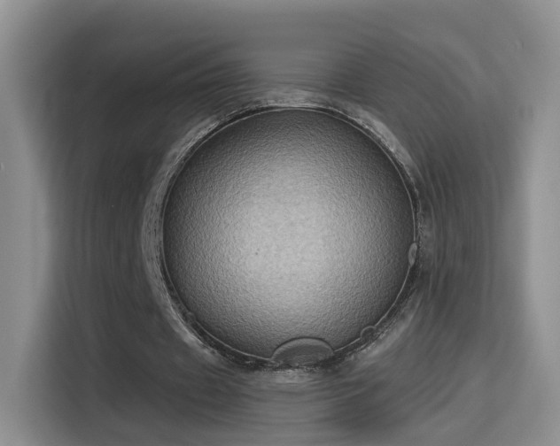 X0000115380433200911101309