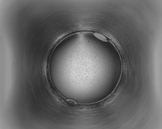 X0000115380434200911101309
