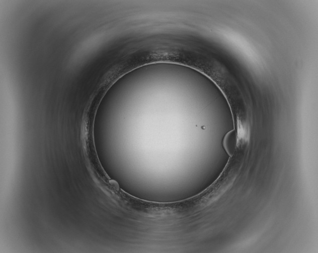 X0000115380435200911101309