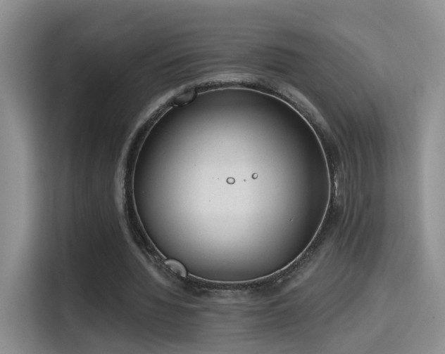 X0000115380436200911101309