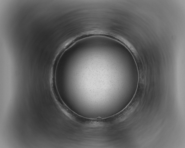 X0000115380437200911101309