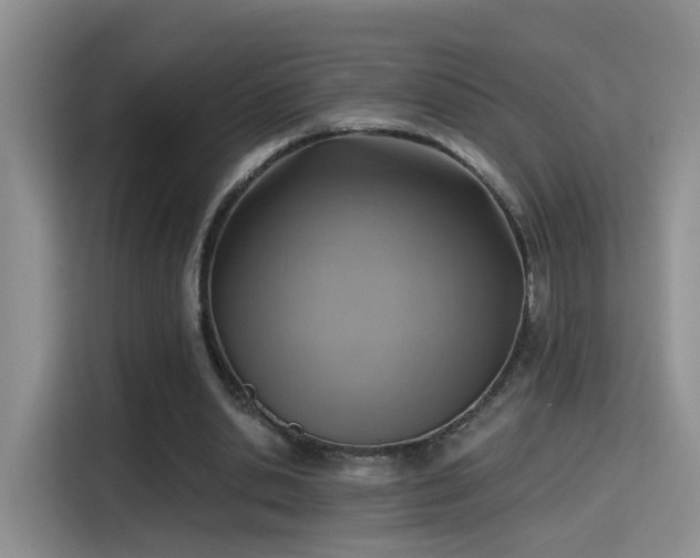 X0000115380438200911101309
