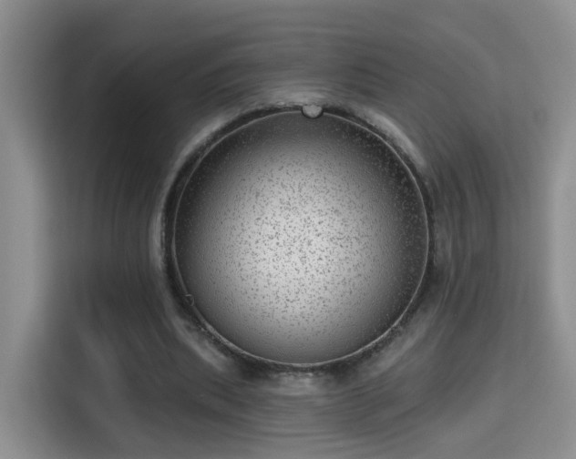 X0000115380439200911101309