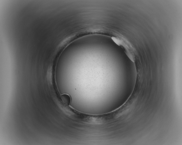 X0000115380442200911101309