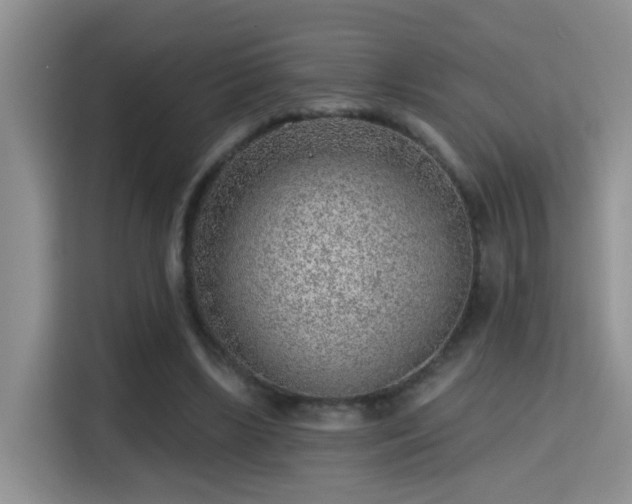 X0000115380443200911101309