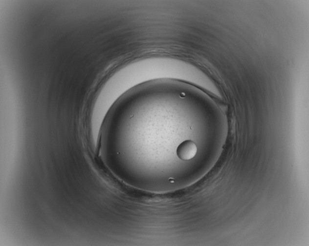 X0000115380444200911101309