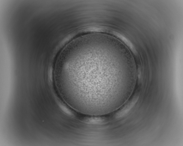 X0000115380445200911101309