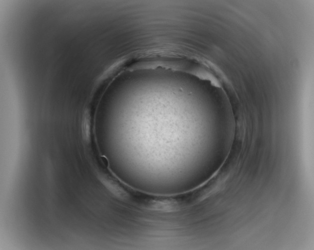 X0000115380446200911101309