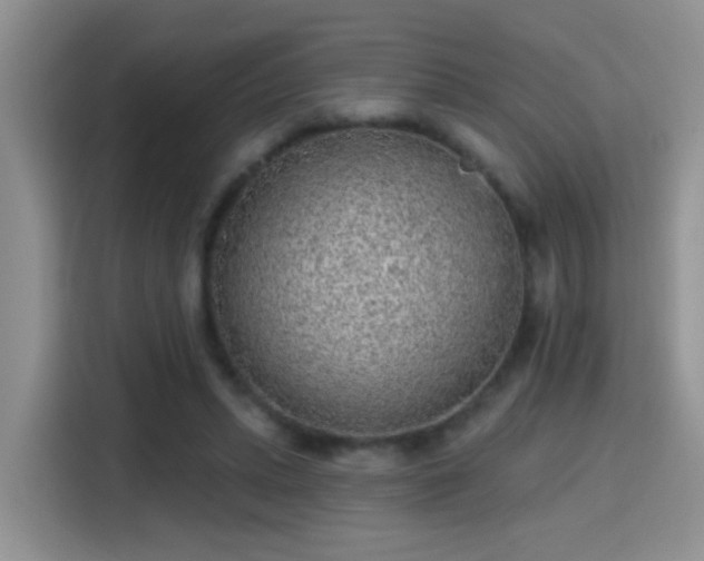 X0000115380447200911101309