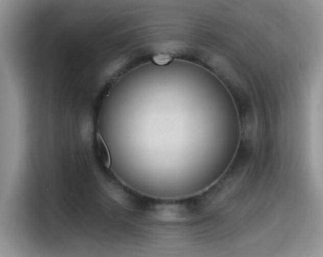 X0000115380448200911101310