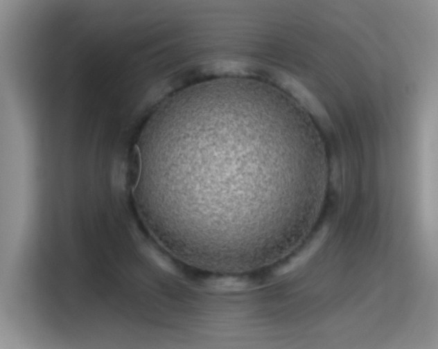 X0000115380449200911101310