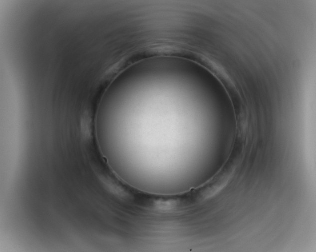 X0000115380450200911101310