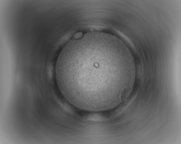 X0000115380451200911101310