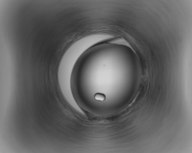 X0000115380452200911101310
