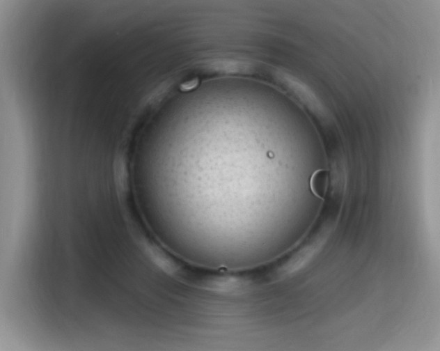X0000115380453200911101310