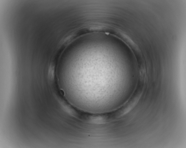X0000115380454200911101310