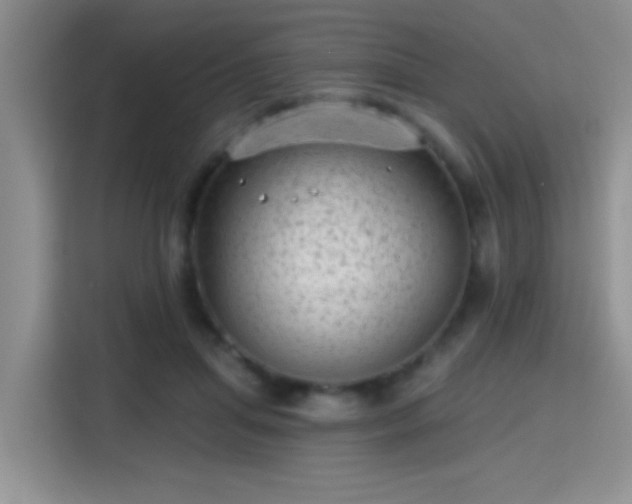 X0000115380455200911101310