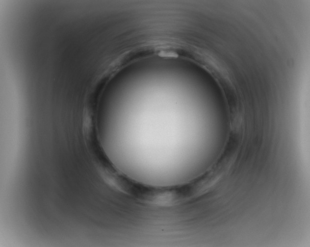 X0000115380456200911101310