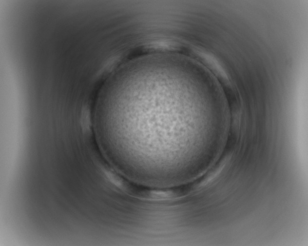 X0000115380457200911101310
