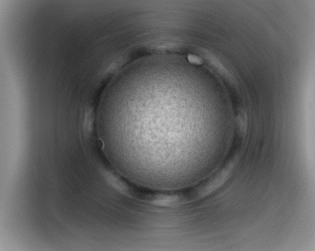 X0000115380458200911101310