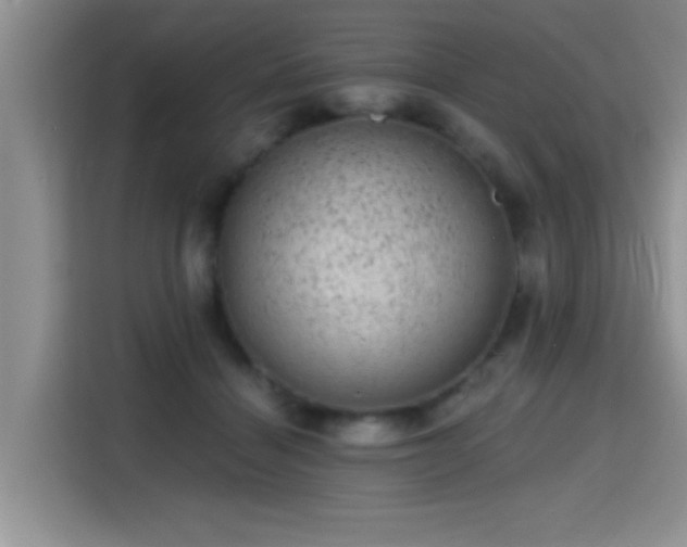 X0000115380460200911101310