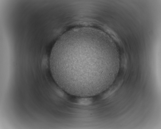 X0000115380465200911101310