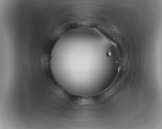 X0000115380466200911101310
