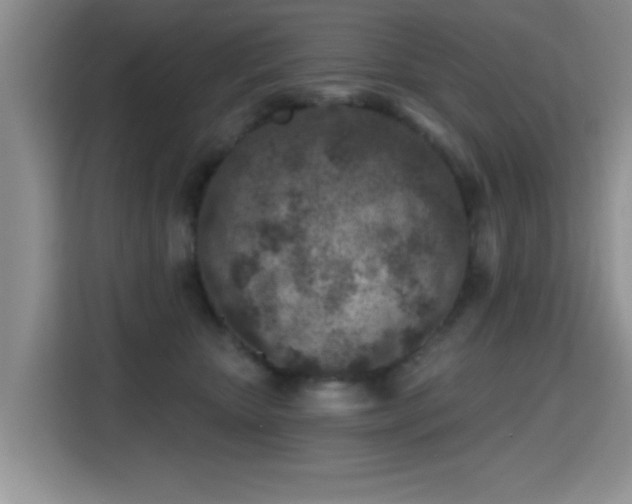 X0000115380467200911101310