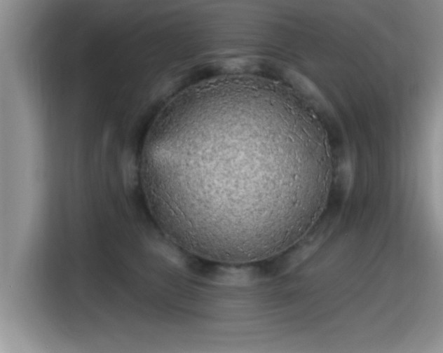 X0000115380469200911101310