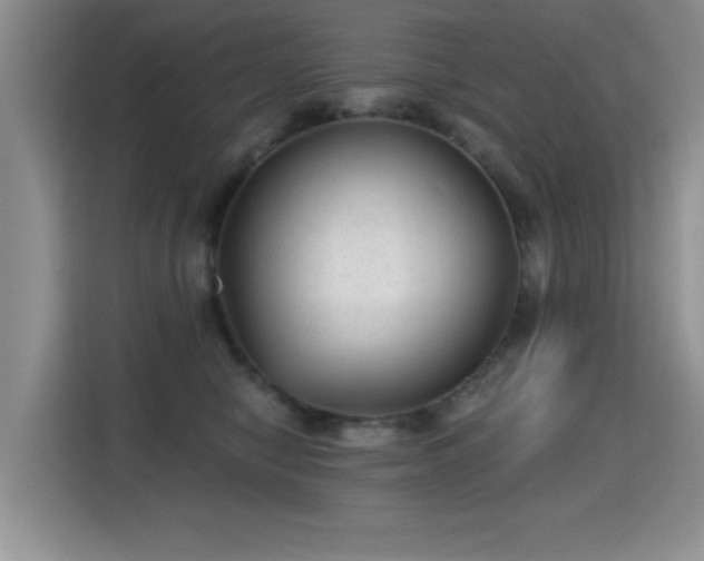 X0000115380470200911101310