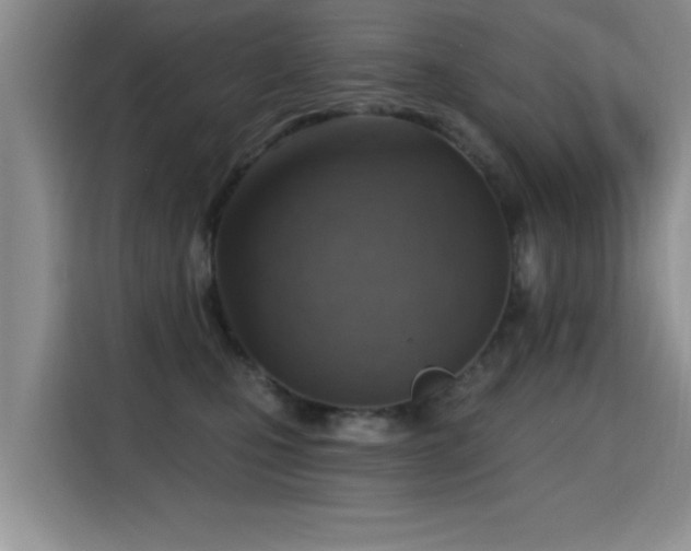 X0000115380471200911101310
