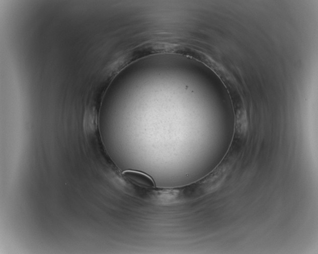 X0000115380474200911101310