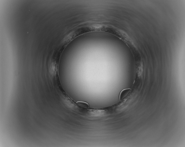 X0000115380476200911101310