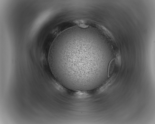 X0000115380477200911101310